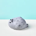 Flocked Cute Grey Seal with Dots Taba Squishy