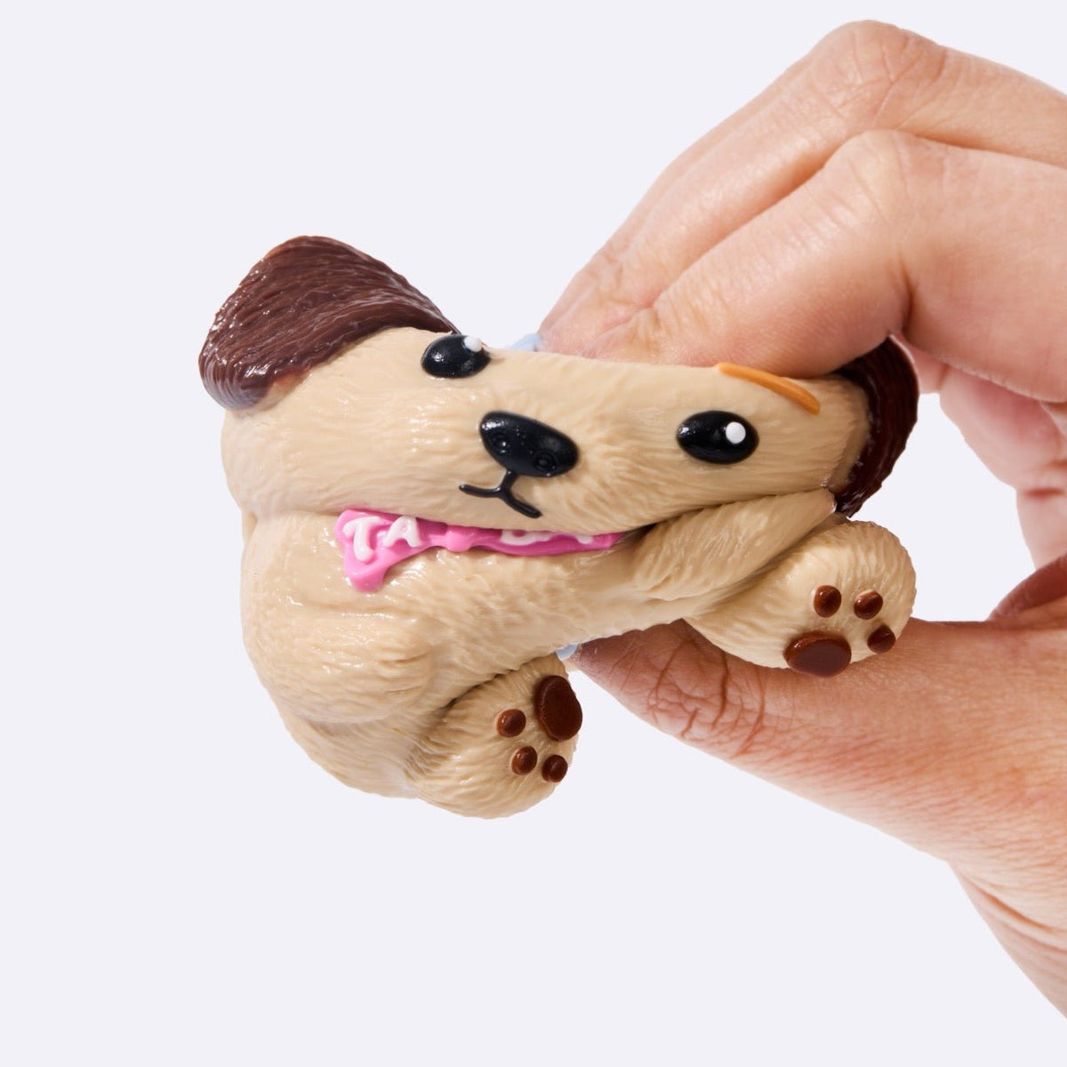 Labrador
